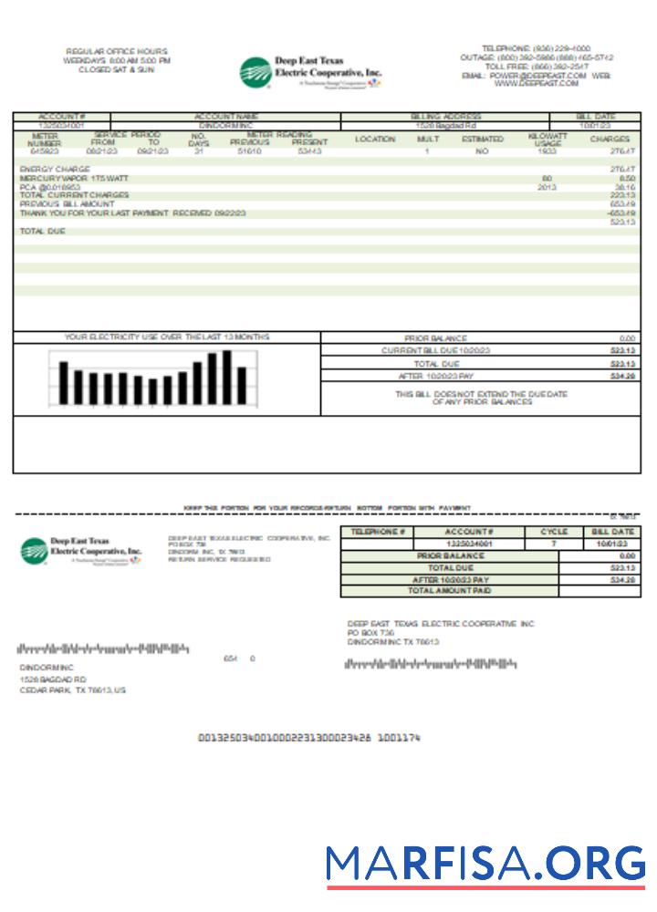 Realistic Deep East Texas Electric utility business bill, SCR download for verification